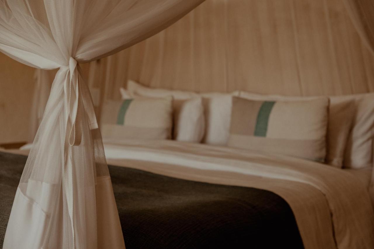 The Bean Tree Hotel McGregor Ngoại thất bức ảnh